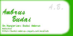 ambrus budai business card